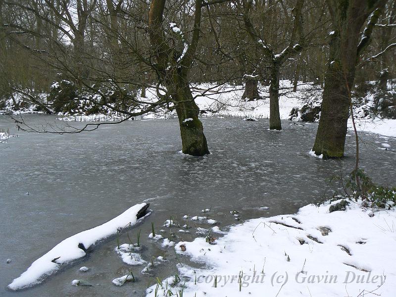 Winter, Hampstead Heath P1070626.JPG